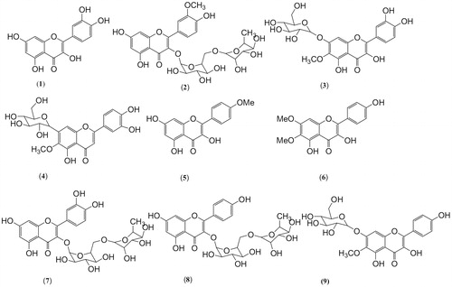 Figure 2. Isolated flavonoids and flavonoid glycosides from Scrophularia genus.