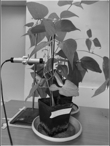 Figure 1. Example of recording setup.