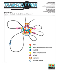 Cover image for Transcription, Volume 5, Issue 1, 2014