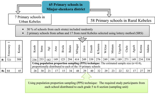 Figure 1 Diagrammatic presentation of multi-stage sampling methods and procedures employed to select study participants for the assessment of the practice of HPV vaccination on primary school female students in Minjar-shenkora districts, 2020.