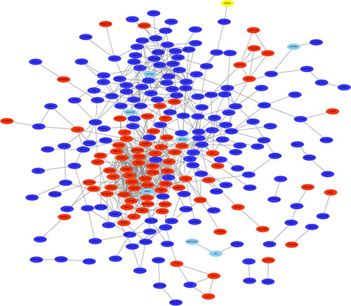 Figure 3 A PPI network of the 340 DEGs in GC. The red represents up-regulated genes, and the blue represents down-regulated genes.