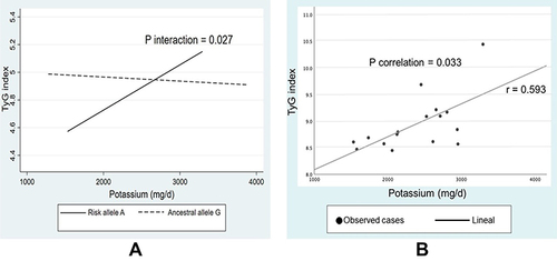 Figure 2 Interaction and correlation between dietary potassium and OCT1 polymorphism regarding the TyG index. (A) Interaction between dietary Potassium and OCT1 polymorphism regarding the TyG index values. (B) Correlation between dietary potassium and TyG index values within risk allele A carriers + metformin monotherapy, adjusted by age, s ex and energy intake.