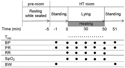 Figure 1. Experimental protocol. HT: hyperthermia therapy; Trec: rectal temperature; BP: blood pressure; PR: pulse rate; SpO2: oxygen saturation of the peripheral artery; BW: body weight.