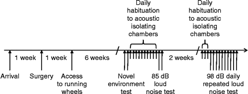 Figure 1.  Schematic representation of the experimental protocol timeline displaying the order of the three experiments and some of their details.