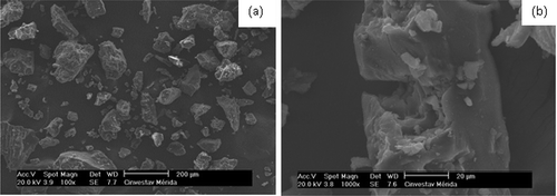 Figure 5. Scanning electron micrographs of mucilage extracted from O. spinulifera at 100X (a) and 1000X (b).Figura 5. Micrografías electrónicas de barrido de mucilago extraído de O. spinulifera a 100X (a) y a 1000X (b).