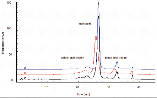 Figure 3. IEC of boronate affinity chromatography fractions. Shown is glycated material found throughout the IEC profile and separated in an acidic shift from non-glycated material. At the glycation level found in starting material (18%), the glycated molecules segregate to the acidic side of each peak region, giving each a broadened leading edge. (A) Boronate non-retained fraction (non-glycated). (B) Boronate-retained fraction (glycated). (C) Starting material. Figure reproduced with permission from Ref.Citation5