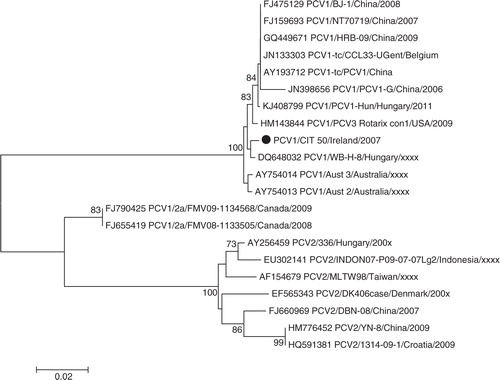 Fig. 3.  Neighbour-joining phylogeny of porcine circovirus types I and II, based on partial REP and capsid genes. Isolates from this study are indicated with a filled circle ().