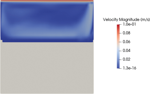 Fig. 19. Section at the midplane of the valve; liquid fraction position at steady state with convection (white is solid and blue is liquid) and visualization of the velocity field in the liquid.