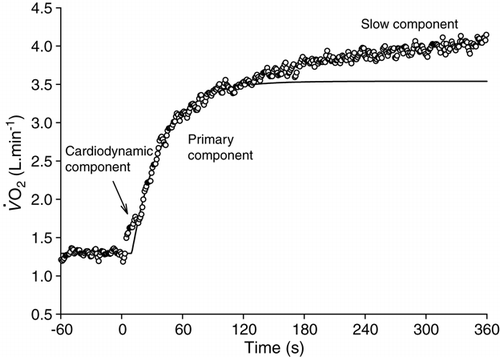 Figure 3.  The response to heavy-intensity exercise in a healthy individual. The response is modelled with an exponential function applied from 20 to 120 s to characterize the primary (“fast”) component. Note that continues to increase beyond the primary phase, leading to an end-exercise that is ∼500 ml · min−1 higher than expected.