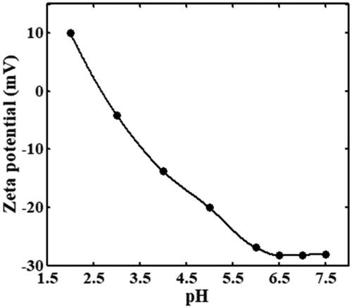 Figure 4. Zeta potential of Fe3O4 nanoparticle versus solution pH.