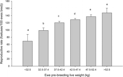 Figure 2 The effect of breeding live weight category on ewe lamb reproductive rate (number of fetuses per 100 ewes presented for breeding), back transformed logit mean ± 95% confidence interval. Bars with different letters are significantly different (P < 0.05).