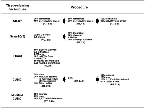 Figure 1. Composition of clearing reagents and protocols for five tissue-clearing techniques (ClearT2, ScaleSQ(0), FUnGI, CUBIC, and modified CUBIC).