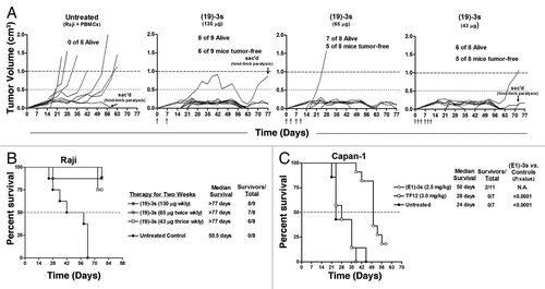 Figure 6. In vivo activity of (19)-3s and (E1)-3s in female NOD/SCID mice bearing Raji and Capan-1 xenografts, respectively. Female NOD/SCID mice were injected s.c. with a mixture of Raji cells (1 × 106) and human PBMCs (5 × 106) combined with an equal volume of matrigel, or injected s.c. with a mixture of Capan-1 cells (5 × 106) and T cells (2.5 × 106) combined with an equal volume of matrigel. Therapy began 1 h later with i.v. injections of the indicated (X)-3s at the dosage and schedule as described in the Results. (A) Growth of Raji xenografts in individual mice of each cohort; (B) survival curves obtained for (19)-3s in the Raji model; (C) survival curves obtained for (E1)-3s in the Capan-1 model.