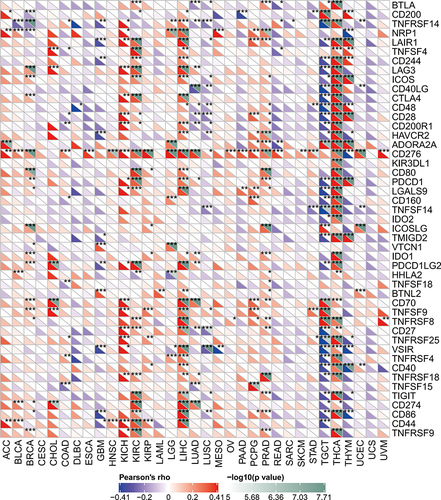 Figure 5 The association of PLK1 expression with immune checkpoint genes across different cancers (*P<0.05, **P<0.01, and ***P<0.001).
