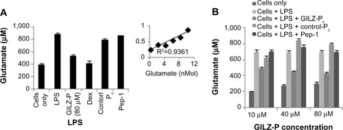 Figure 7 Effects of GILZ-P on glutamate concentration in cultures of human macrophages.