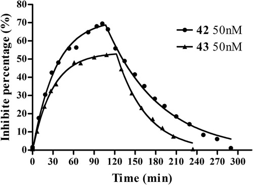 Figure 5. AChE-CIM-IMER time-dependent carbamoylation (inhibitors in buffer A) and decarbamoylation (buffer A as mobile phase) of AChE by 42 (50 nM) and 43 (50 nM). The percent of inhibition measured is equal to the percent of carbamylated enzyme. The curve was fitted to Perola’s mathematical equationCitation43.