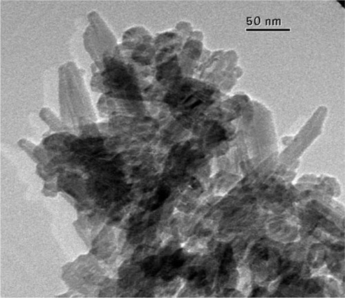 Figure 10 TEM image of surface nanostructured biomimetic carbonate-hydroxyapatite microcrystals.