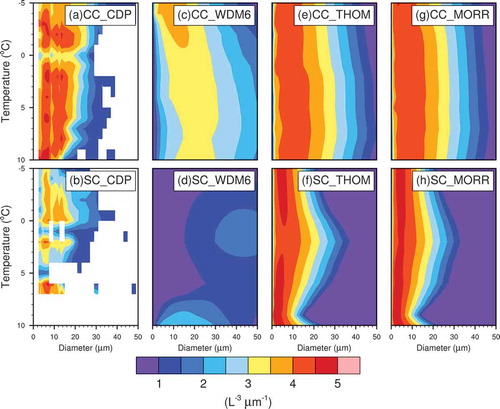 Figure 2. Contours of cloud DSD. The first and second rows represent the results of the convective cloud (CC) and stratiform cloud (SC), respectively. Columns 1–4 respresent the results based on observation (cloud droplet probe), the WDM6 simulation, the Thompson simulation, and the Morrison simulation, respectively.