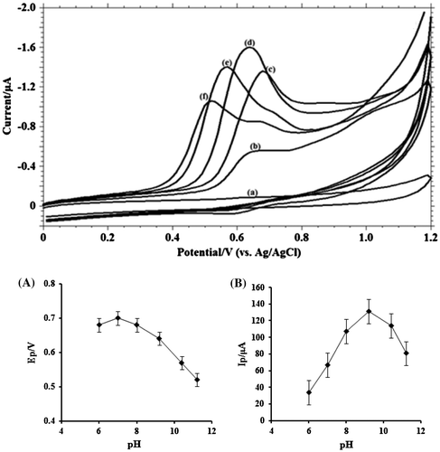 Figure 4. (A) Cyclic voltammograms obtained for 1.0 mM MDH in buffer solution at (a) blank; (b) pH 6.0; (c) pH 8.0; (d) pH 9.2; (e) pH 10.4; (f) pH 11.2; (B) Variation of peak currents Ip / μA of MDH with pH; (C) Influence of pH on the peak potential Ep/V of MDH.