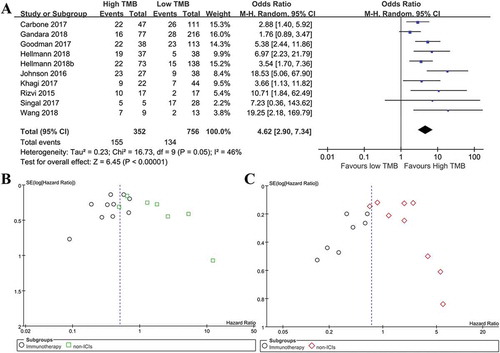 Figure 5. Meta-analysis of overall response rate in immunotherapy treated patients with high versus low tumor mutation burden, and publication bias assessment. (a): Meta-analysis of overall response rate in cancer patients with high versus low tumor mutation burden after immunotherapy (N = 1108, p< .01). (b): Funnel plot of OS from included studies. (c): Funnel plot of PFS from included studies.