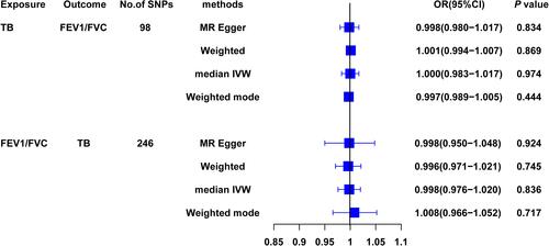 Figure 3 The forest plot for Estimates of causal effects between serum TB and FEV1/FVC. Both estimates coefficients of MR and reverse MR calculated using four methods including MR Egger, Weighted median, Inverse variance weighted and Weighted mode, and transformed for odd ratio and 95% CI.