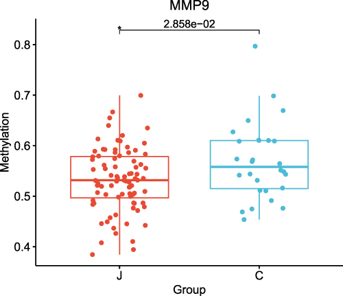 Figure 4 The difference in MMP9 methylation levels between group J and group C. The MMP9 gene was relatively hypomethylated in group J.