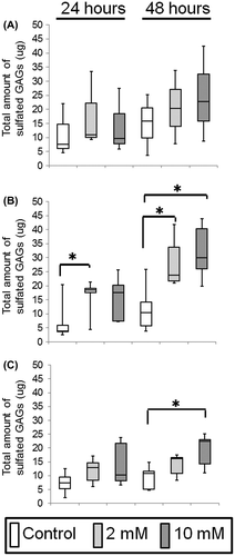 Fig. 3. Measurement of sulfated-glycosaminoglycans (s-GAG) of oral keratinocytes and fibroblasts in a monolayer culture supplemented with 0 (control), 2, or 10 mM XPP.