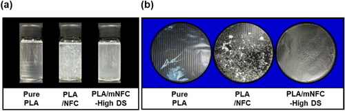Figure 7. Photographs of PLA solution (pure PLA) and PLA/NFC solution and PLA/mNFC-High DS solution (a) and the subsequent casted films of the aforementioned solutions with thickness of 30–50 µm (b).