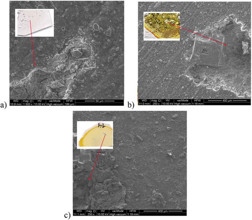 Figure 13. Macro- and microscopic view of: a) Mg/PEO b) Mg/Primer, c) Mg/PEO/Primer after 150 h of immersion in 0.5 M NaCl; SEM