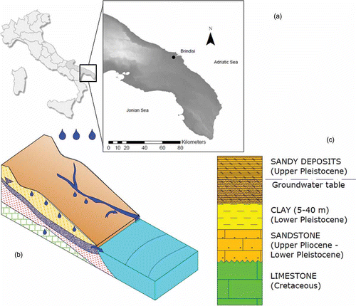 Fig. 1 (a) Location of Brindisi, southern Italy, (b) schematic sketch of the aquifer, and (c) schematic stratigraphy of the area.