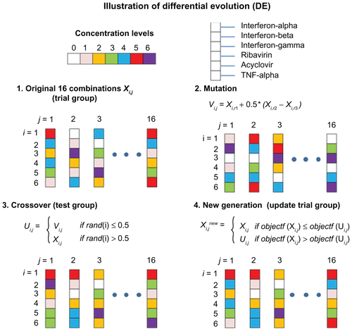 Figure S1 Illustration of differential evolution (DE) search algorithm. DE is divided into four main steps, which can me summarized as production of the original drug combinations, mutation stage, crossover stage, and production of the new drug combinations.Abbreviation: TNF, tumor necrosis factor.