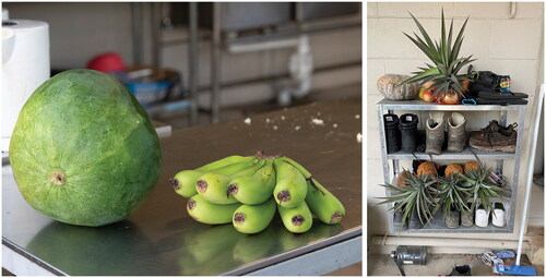 FIGURE 7 Leftover produce scattered around inside worker hostels.