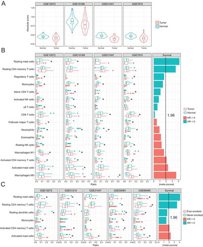 Figure 4. Immune cell compositions and their association with clinical outcome. (A) Immune cell infiltration score in tumor and adjacent normal tissues. (B) Compositional differences in immune cells between tumor and normal samples (left) and associations of tumor immune cell fractions with survival (right). (C) Compositional differences in immune cells between tumors from ever- and never-smokers (left) and associations of tumor immune cell fractions with survival (right). Meta-z-scores were used to measure the overall association of each type of immune cell with survival across all datasets.