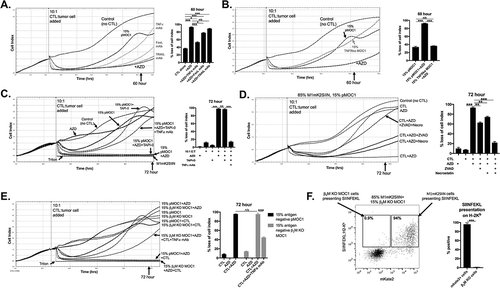 Figure 3. AZD1775 sensitizes SIINFEKL negative cells to transmembrane TNFα-dependent control by antigen specific CTL.A, OT-I CTL (10:1 E:T) control of 15% SIINFEKL negative pMOC1 tumor cells in the presence of AZD1775 (250 nM) or DMSO alone was assayed. Monoclonal antibodies targeting TNFα (clone XT3.11), FasL (MFL3) or TRAIL (N2B2; all 2 μg/mL) were added with CTLs to some wells (CTL and mAbs mixed before addition to target cells), with quantification 60 hours after the addition of CTL.B, OT-I CTL (10:1 E:T) control of 15% SIINFEKL negative tumor cells in the presence of AZD1775 (250 nM) or DMSO alone was assayed. In some wells, SIINFEKL negative pMOC1 cells were replaced with TNFR1 knockout pMOC1 cells, with quantification 60 hours after the addition of CTL.C, OT-I CTL (10:1 E:T) control of 15% SIINFEKL negative pMOC1 tumor cells in the presence of AZD1775 (250 nM) or DMSO alone was assayed. In some wells, TAPI-0 (10 μM) was added with or without TNFα mAb (2 μg/mL) with CTLs. When used, CTLs were exposed to TAPI-0 for 2 hours prior to being added to target cells. Quantification of loss of cell index performed 72 hours after the addition of CTLs.D, OT-I CTL (10:1 E:T) growth control or killing of 15% SIINFEKL negative pMOC1 cells in the presence of AZD1775 (250 nM) or DMSO alone was assayed via impedance analysis in the presence or absence of ZVAD (20 μM) or necrostatin (20 μM) alone or in combination, with quantification 72 hour after the addition of CTL.E, OT-I CTL (10:1 E:T) control of 15% SIINFEKL negative tumor cells in the presence of AZD1775 (250 nM) or DMSO alone was assayed. In some wells, SIINFEKL negative pMOC1 cells were replaced with β2M knockout pMOC1 cells, with quantification 72 hours after the addition of CTL.F, SIINFEKL positive M1mK2SIIN (85%) and antigen-negative β2M knockout pMOC1 cells (15%) were co-incubated for 24 hours, stimulated together with 10 ng/mL IFNγ for an additional 24 hours, and assessed for SIINFEKL presentation on H-2Kb via flow cytometry.*, p < 0.05, **, p < 0.01; ***, p < 0.001; n/s, non-significant. Representative data from one of three independent assays for each experiment.