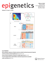 Cover image for Epigenetics, Volume 12, Issue 11, 2017