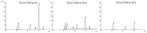 Figure 7 HPLC chromatograms demonstrating the stability of TQ in complete cell culture media at 0, 24 and 48 h incubation (37 °C).