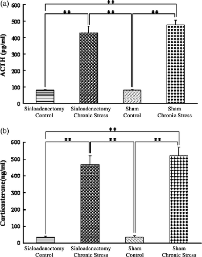 Figure 6  Plasma concentrations of ACTH and corticosterone: chronic stress and sialoadenectomy. (a) Plasma ACTH; (b) Plasma corticosterone concentrations, in terminal cardiac puncture blood samples. Control: no stress; Chronic stress: after daily 12 h restraint stress for 22 days; Sialoadenectomy: removal of submandibular salivary glands; Sham: sham sialoadenectomy. Values are mean ± SEM; n = 12 rats in each group. **p < 0.01, ANOVA/Tukey's. Note: the data for the Sham groups are the same as in Figure 1.