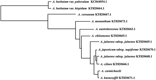 Figure 1. Phylogenetic tree of 12 Aconitum species constructed with the whole chloroplast genomes by a neighbour-joining analysis using the BLAST pairwise alignments and Blast Tree View tool. The Max Seq Difference is set as 0.75.