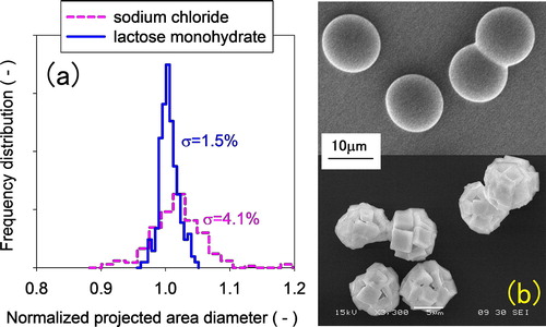 Figure 5. (a) Particle size distributions of IAG-generated sodium chloride (SC) and LM particles. A scanning electron microscope (SEM) is used to measure their projected area diameters. The size axis is normalized by the average size. The average sizes of the distributions are 8.8 and 9.5 μm for SC and LM, respectively. (b) SEM images of LM (top) and SC (bottom) particles. Originally published in Earozoru Kenkyu (Minakami et al. Citation2017). Reproduced here with permission of the publisher.