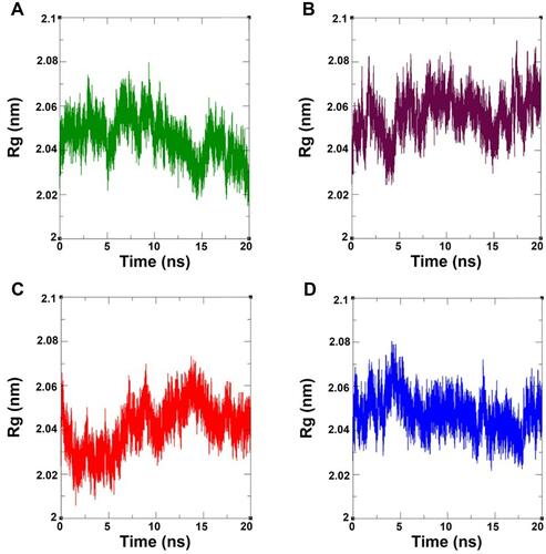 Figure 6 Radius of gyration of EGFR-ligand complexes (A) EGFR-7a complex, (B) EGFR-7b complex, (C) EGFR-7e complex, and (D) EGFR-7m complex.