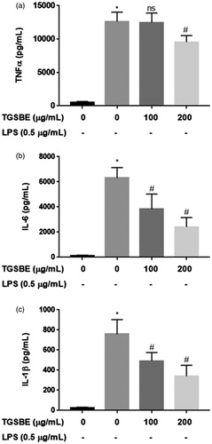 Figure 2. Effect of TGSBE on LPS-induced cytokine production in RAW264.7 cells. The cells were treated with indicated concentrations of TGSBE for 1 h, followed by LPS (0.5 μg/mL) for 24 h. Then, cell-free supernatant was subjected to quantify TNFα, IL-6 and IL-1β levels, using ELISA kits, according to manufacturer’s protocol. Data represent mean ± SD from three separate experiments. *p < 0.05, significant compared to control, #p < 0.05, significant compared to LPS alone treated group.