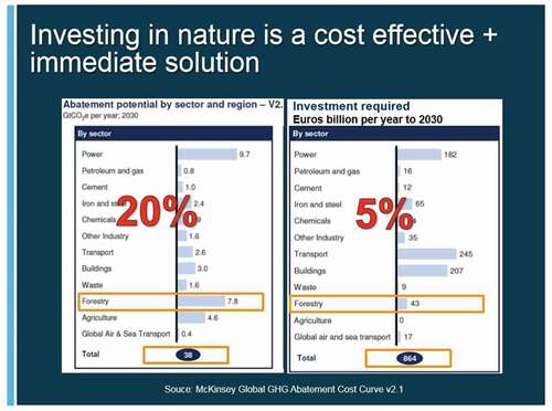 Figure 1. Slide from NGO Director Presenting at HFLD Conference (NGO Director, 2014, Public Communication).