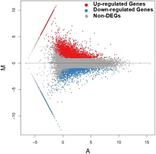 Figure 1. Differentially expressed genes between ‘Guanxi’ pummelo and red-fleshed pummelo. The genes were divided into three classes. Red dots indicate genes that were upregulated, i.e. the gene’s expression in red-fleshed pummelo was higher than in ‘Guanxi’ pummelo. Blue dots indicate genes that were downregulated, i.e. the gene’s expression in ‘Guanxi’ pummelo was higher than in red-fleshed pummelo. Grey dots indicate genes that were not differentially expressed. The horizontal coordinates refer to the average FPKM value (A) and the vertical coordinates refer to the log2ratio (M).