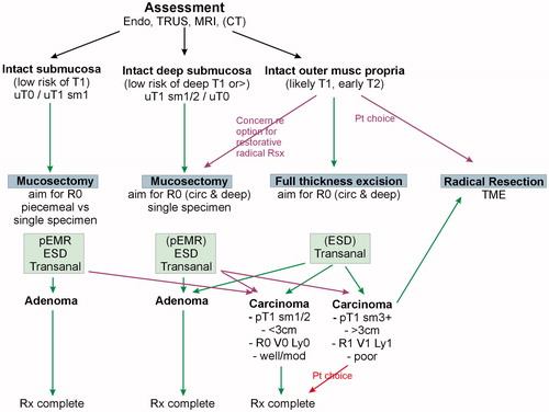 Figure 3. Possible algorithm for treatment of a rectal SPECC lesion. Green lines denote typical pathways, purple lines denote options which can be exercised by patients or clinicians.