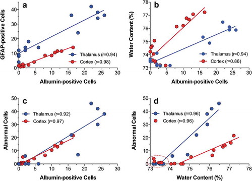 Figure 15. Correlative relationships between individual brain parameters in pentobarbital-anesthetized rats passively warmed to different temperatures. A = relationships between the counts of albumin- and GFAP-positive cells evaluated in the thalamus and cortex; B = relationships between the counts of albumin-positive cells and tissue water content; C = relationships between the counts of albumin-positive cells and structurally abnormal cells; D = relationships between tissue water content and the counts of albumin-positive cells. Each correlation coefficient value is highly significant (p < 0.001). See the text for other explanations. Original data were published in reference [Citation158] and re-plotted for this article.