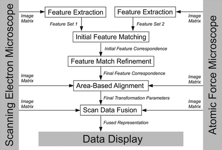 Figure 2 Overview of proposed registration scheme. Initially, local features are extracted from the SEM and AFM scans. The features are matched against each other and the match is checked for consistency in a refinement step. Based on the feature correspondence, the transformation model parameters are computed. Area-based fine alignment is performed optionally. The final fused view is generated and then displayed.