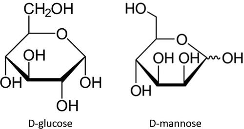Figure 1. Biochemical structure of D-glucose and D-mannose.