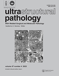 Cover image for Ultrastructural Pathology, Volume 47, Issue 4, 2023
