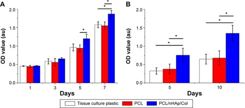 Figure 5 Bioassay of proliferation and mineralization level of MC3T3 cells cultured in PCL/nHAp/Col membrane, PCL membrane, and culture plate as a control.Notes: (A) CCK-8 assay showing MC3T3 proliferation at different time intervals. (B) Alizarin Red S staining showing mineral deposition level in MC3T3 at different time intervals. *P<0.01, n=5.Abbreviations: CCK-8, Cell Counting Kit-8; Col, collagen; nHAp, nanohydroxyapatite; PCL, polycaprolactone; OD, optical density.