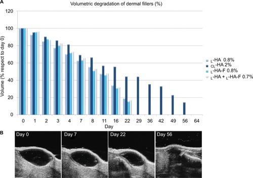 Figure 2 (A) Volumetric degradation of fillers monitored through HF-US. (B) Representative images of degradation kinetics of CL-HA by HF-US.